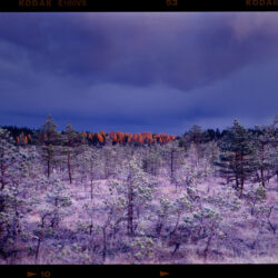 Margus-Sootla-40752849895