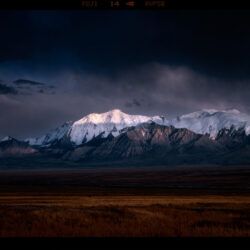 Margus-Sootla-51647906814