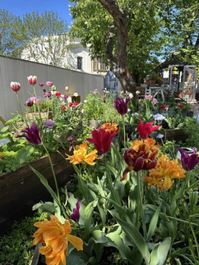 1.-31.mai<br><b>Keskkonnakuu Kalamaja muuseumis</b>