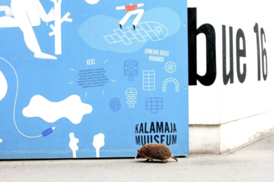 27. august<br><b>Kalamajas on siiliõhtu!<br></b>Töötuba aiapidajatele, ööretk ja laste siilitund</b>